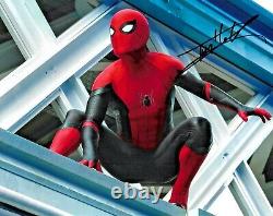 Tom Holland Spiderman The Avengers Endgame Marvel Signed 8x10 Photo With DG COA 1