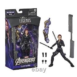 Hasbro F0446 Marvel Legends Série Figurine d'action Film Avengers Endgame